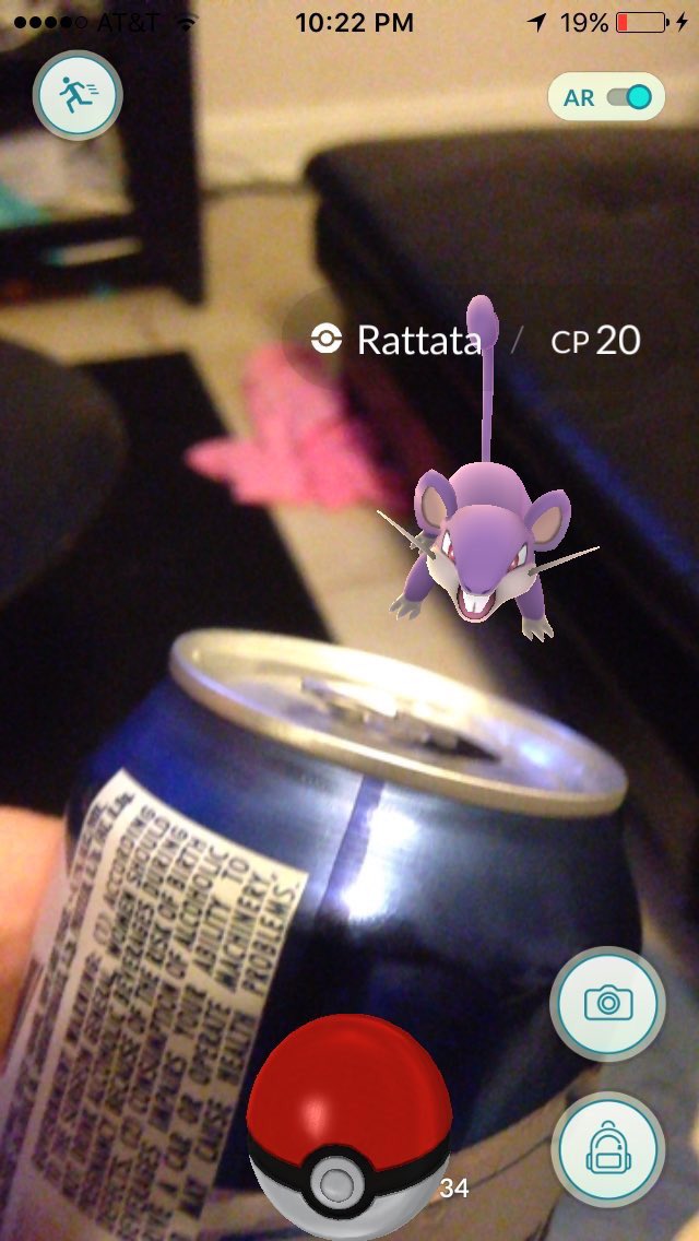 PokemonGOPhotos's tweet photo. Have a beer, Rattata. #PokemonGO
Submitted by @ChitownSniper https://t.co/EfYAruttf7