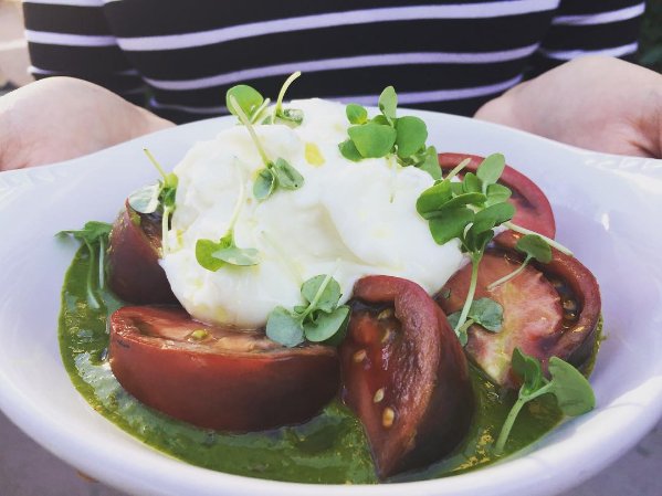 Heirlooms are here! Joined by old friend burrata, green gazpacho, and micro basil. 🍅☁️🌱🍅☁️🌱