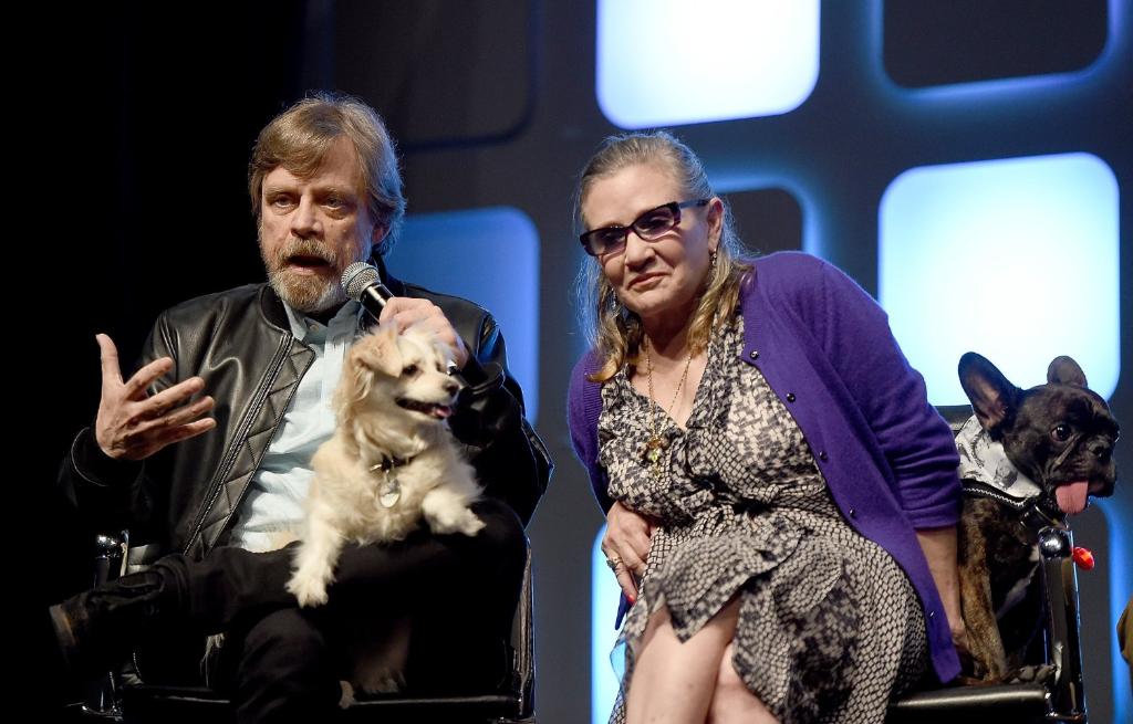 IMDb's tweet photo. Star Wars Celebration 2016: Day 2 https://t.co/lhbhM4P6Nd https://t.co/OsXOX2HMBi