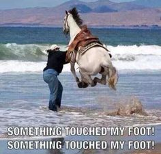 funnyanimals298's tweet photo. How about these r they funny or adorable https://t.co/abnCM9LInq