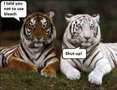 funnyanimals298's tweet photo. Hardy har har https://t.co/qU70Rz64tL