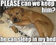 funnyanimals298's tweet photo. Hardy har har https://t.co/qU70Rz64tL