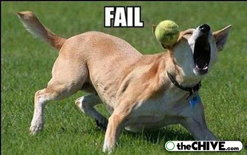 funnyanimals298's tweet photo. https://t.co/hslqGoXUfu