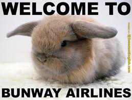 funnyanimals298's tweet photo. Hey guys last one of the day luv u guys night https://t.co/esakErJFV7
