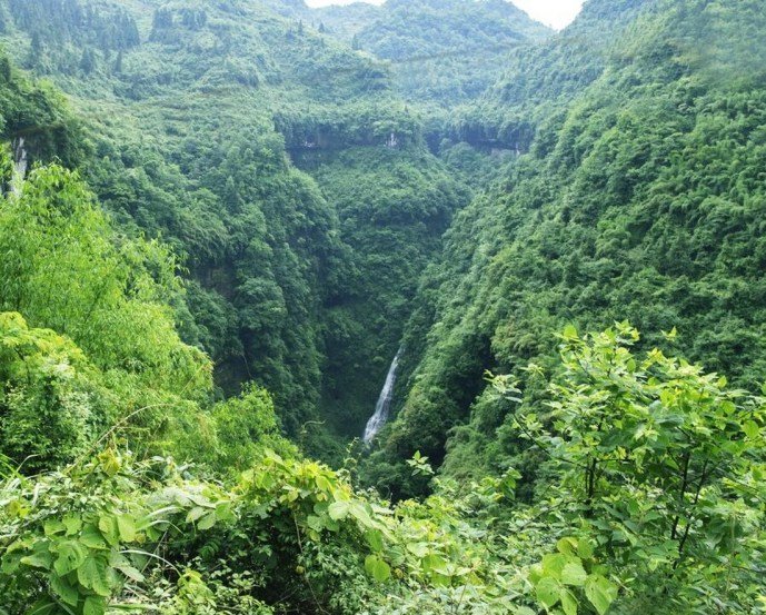 How long is China's longest cave? 186.333km &amp; 203 entrances by latest measurement! It's in Guizhou, come &amp; explore!