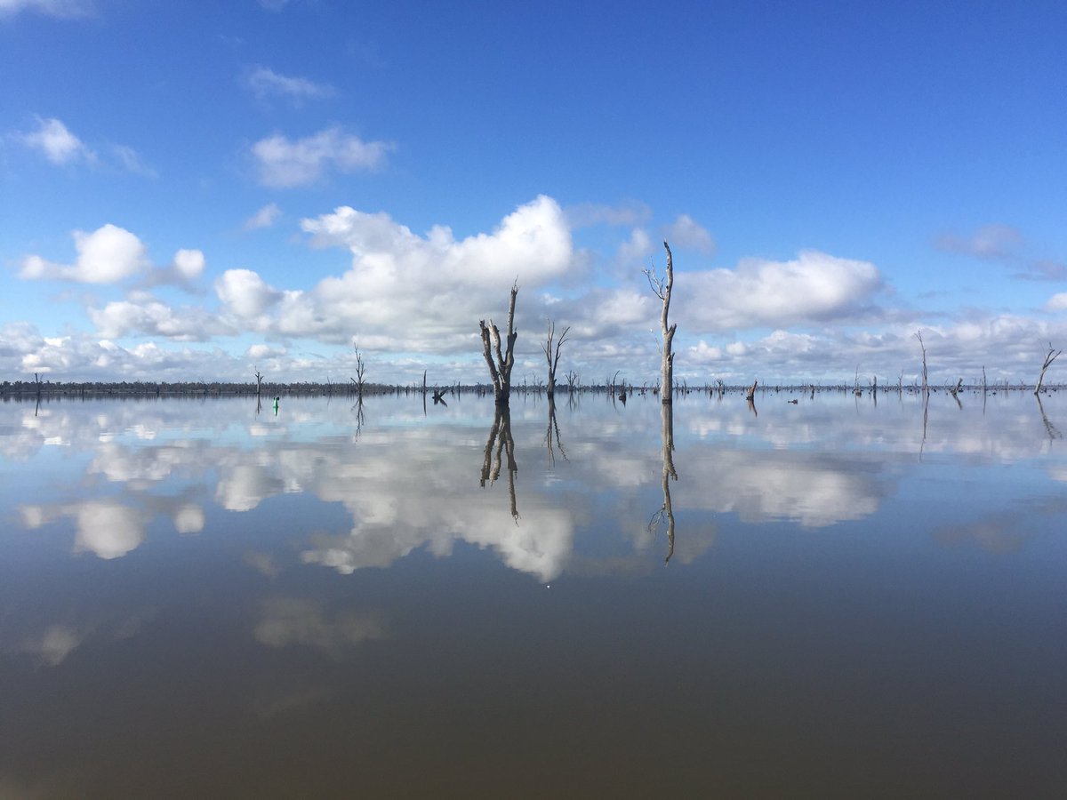 Rona Williams (iamronawilliams) Twitter