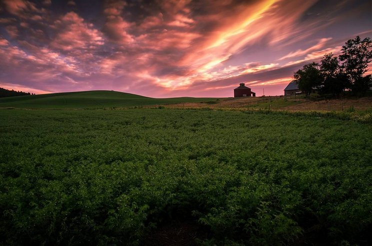 AvistaUtilities's tweet photo. The #Palouse via Brent Huntley on #Instagram. #WAstate #travel #farmlife #sunset #FarmCountry https://t.co/J7yhycIquZ
