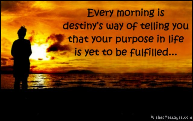 EdifyAmravati's tweet photo. Good Morning Have a Great Day Ahead https://t.co/z0QdgcqskT