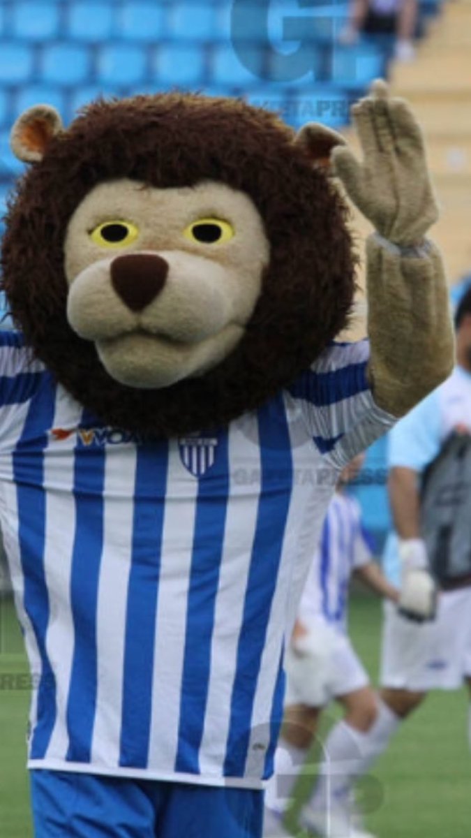 Jornalismowando Na Twitteru A Vida Nao Ta Facil Pro Leao Do Avai