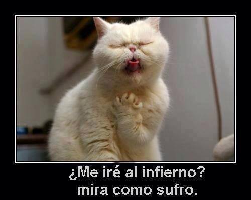 viviendoalegres's tweet photo. @MaritoRo33 @romiaguero18 https://t.co/Xt6AIFoA6O