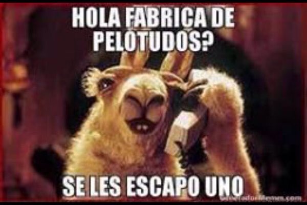 viviendoalegres's tweet photo. @MaritoRo33 @romiaguero18 #memespapales https://t.co/pFKhj2PFIf