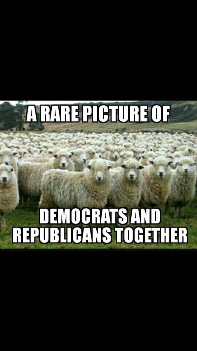 dedcell4256's tweet photo. Don't be blind don't be a trumptard don't blindly support a Clinton. If you do our country is fucked vote anonymous https://t.co/fjzIRJPCwW