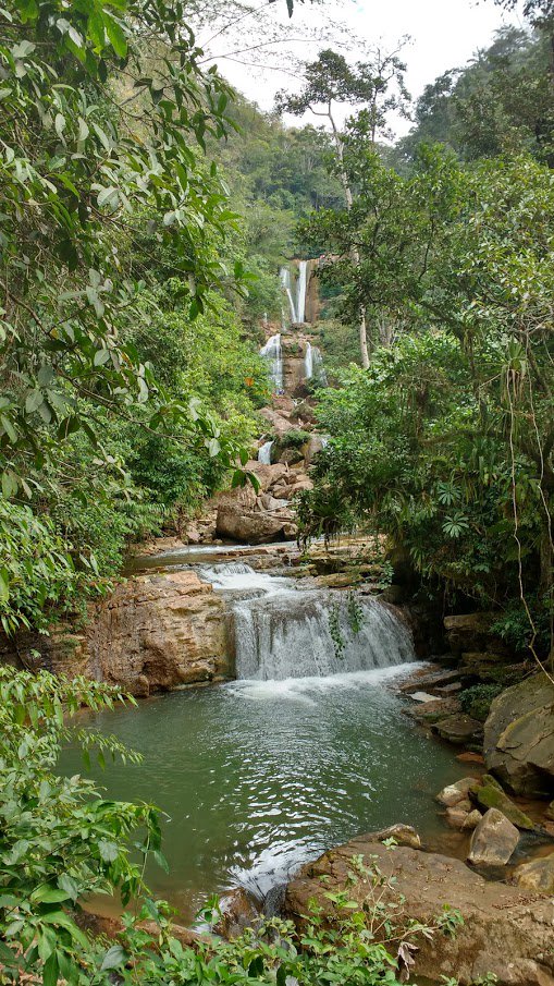 PedroVegaTorre1's tweet photo. #Peru #Junรญn #Chanchamayo Some #Waterfalls #HighForest https://t.co/eTYiN1kHIi