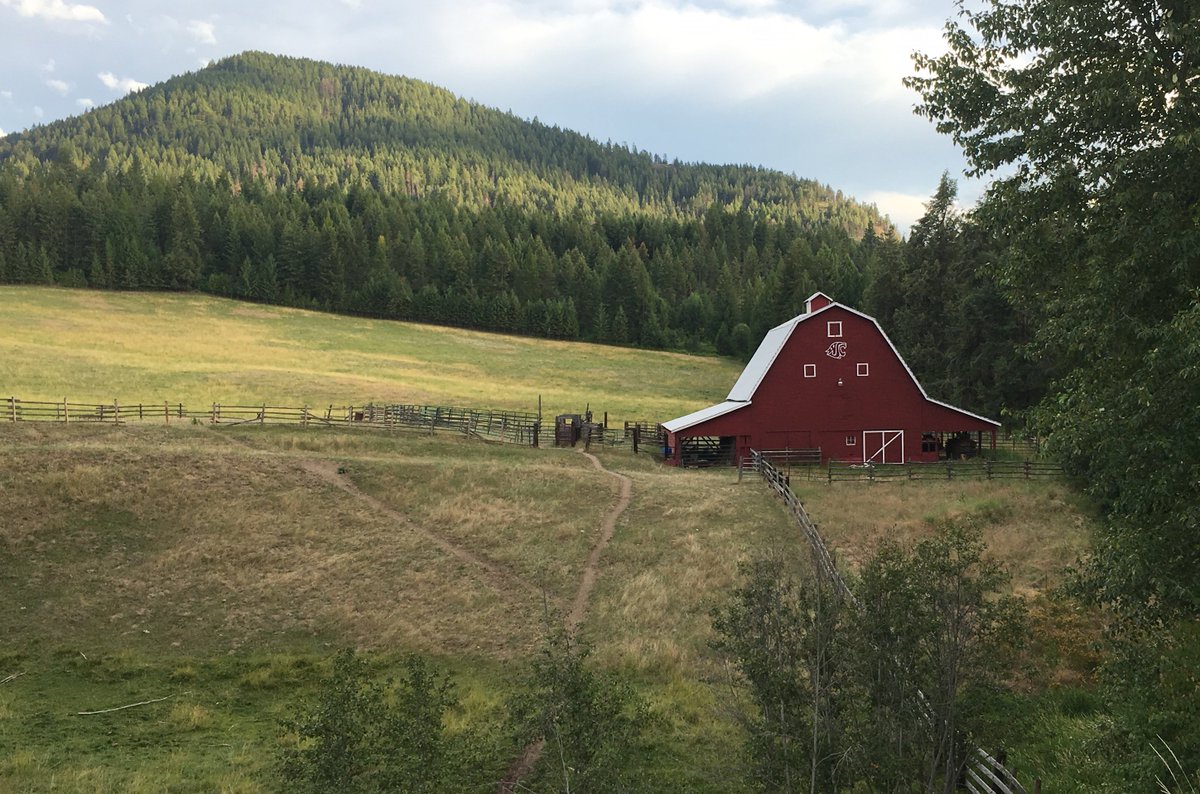 crimgraycougar's tweet image. Pokemon Go ain&apos;t got nothin&apos; on Coug Barn spotting. #GoCougs #SimplyChewelah
