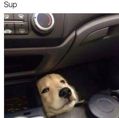 OverwatchQueen's tweet image. @WhatIsUNHelp