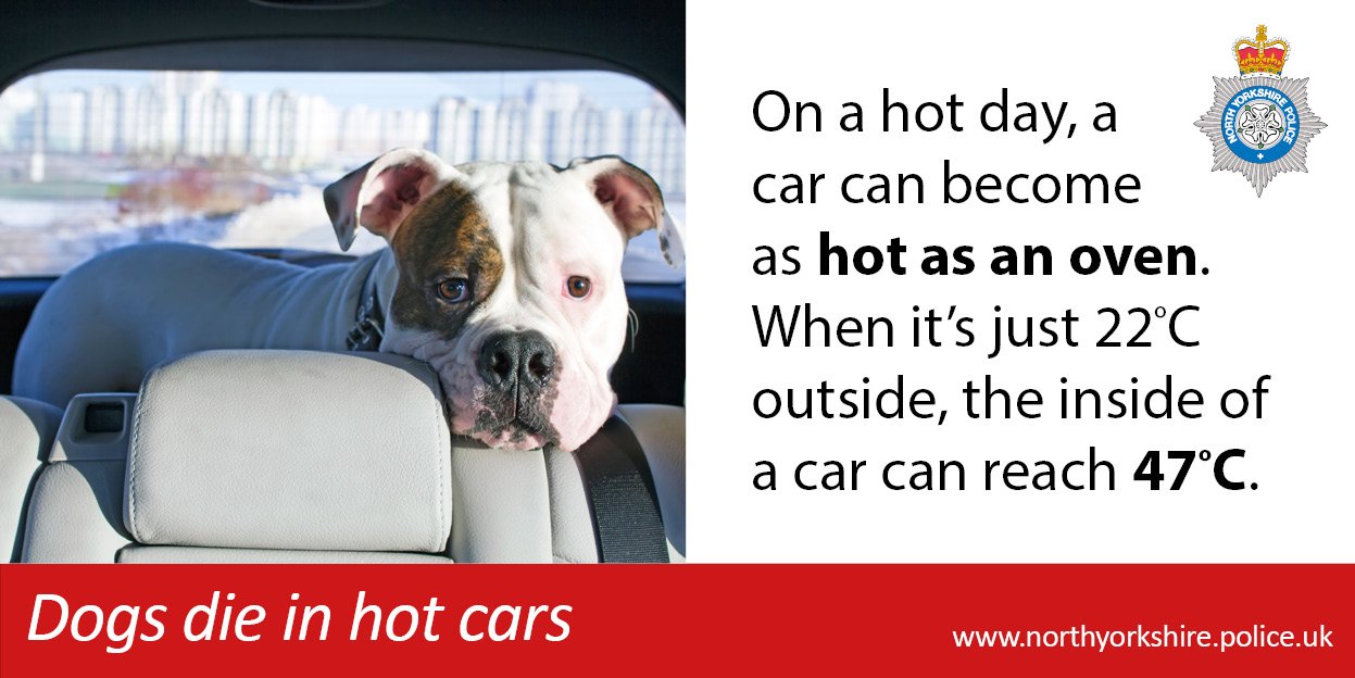 Four Oaks Pet Care (FourOaks_) / Twitter