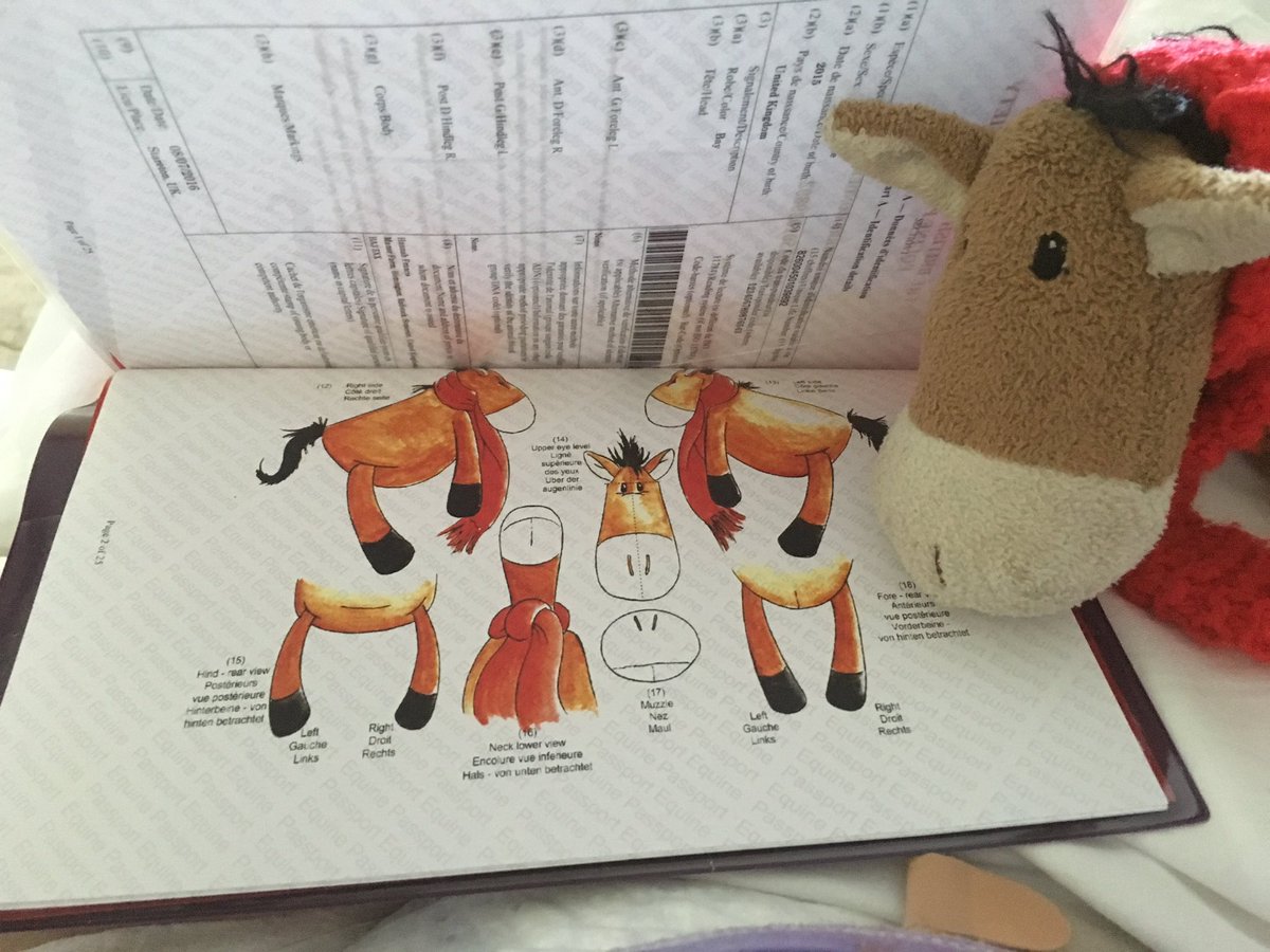 chiefchemopony's tweet photo. An official @FEI_Global passport all thanks to the BEF for @thewanderberry... I wonder where he's off to soon? https://t.co/ER4E7scVuX