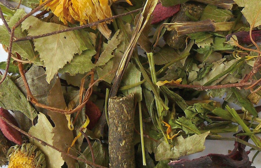 NaturePets_de's tweet image. Exquisites #Nagerfutter für #Degus von #Nagertraum.