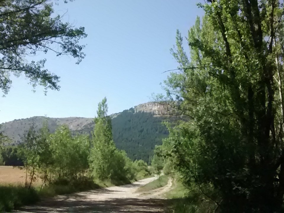 La <a href="/uexanon/">ESCULTA XANON</a> estamos disfrutando de una fantástica marcha en unidad 🙌