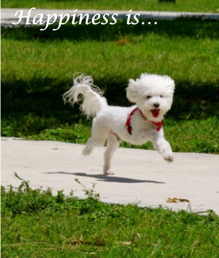 DeborahValledor's tweet photo. Happiness is…. https://t.co/CfPX3gz1fl https://t.co/tuiGeYx2WL