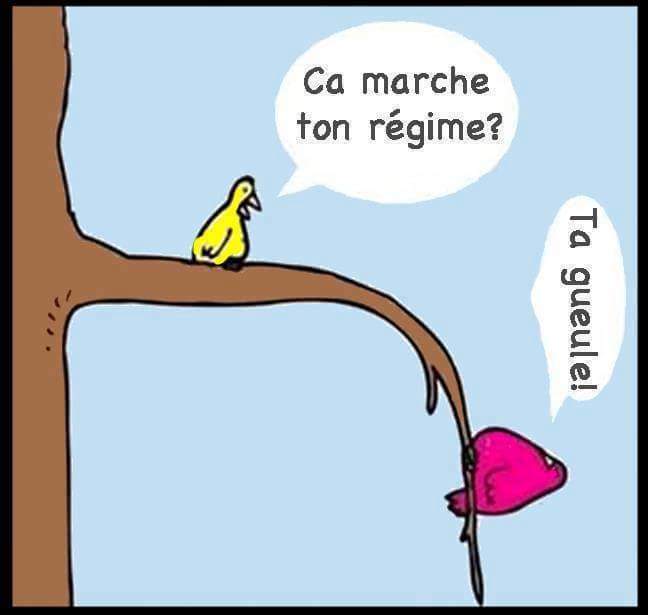 chaouikitwit's tweet photo. #jesuisregime https://t.co/iylLF4N1Xv
