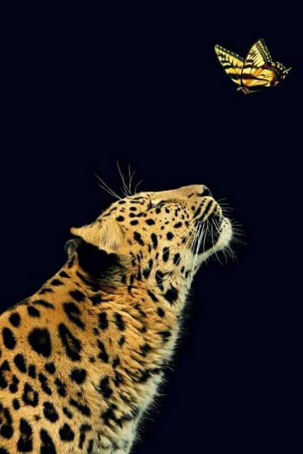+971 55 597 7362 (@971_597) on Twitter photo 