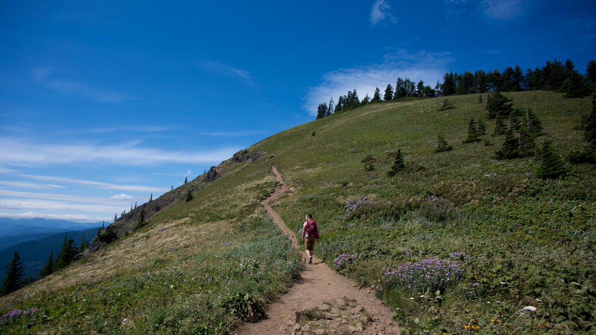StacieStruble's tweet photo. Coolest place you've been lately? I wanna hear about it! #adventure #OptOutside  #PNW #hikelife #OregonExplored https://t.co/BJbvaOndXM