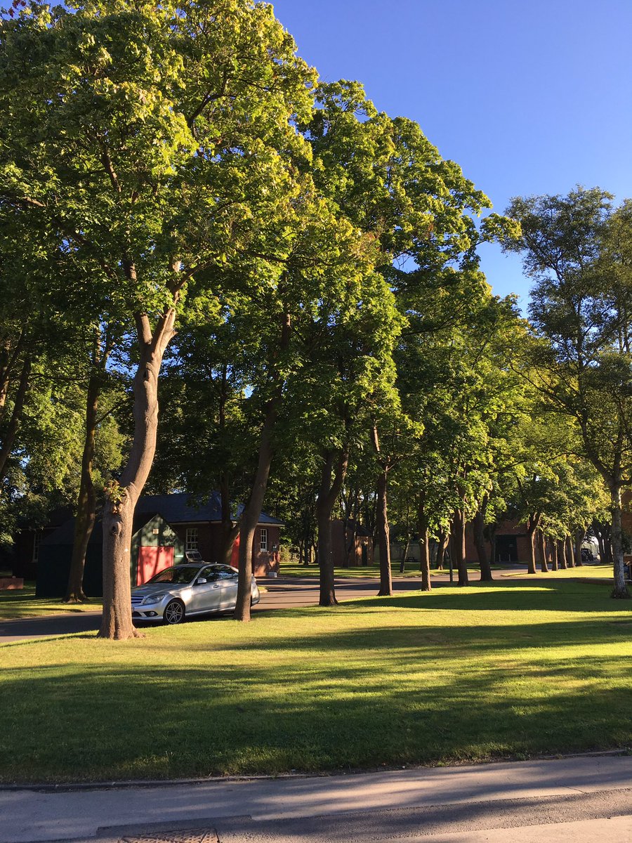 We think it's hard to beat Bicester Heritage on a sunny morning! <a href="/OxTweets/">OxTweets</a> <a href="/Historit/">Historit</a> <a href="/ClassicOils/">Classic Oils Ltd</a> <a href="/REexhausts/">Ryan Edwards Exhaust</a>