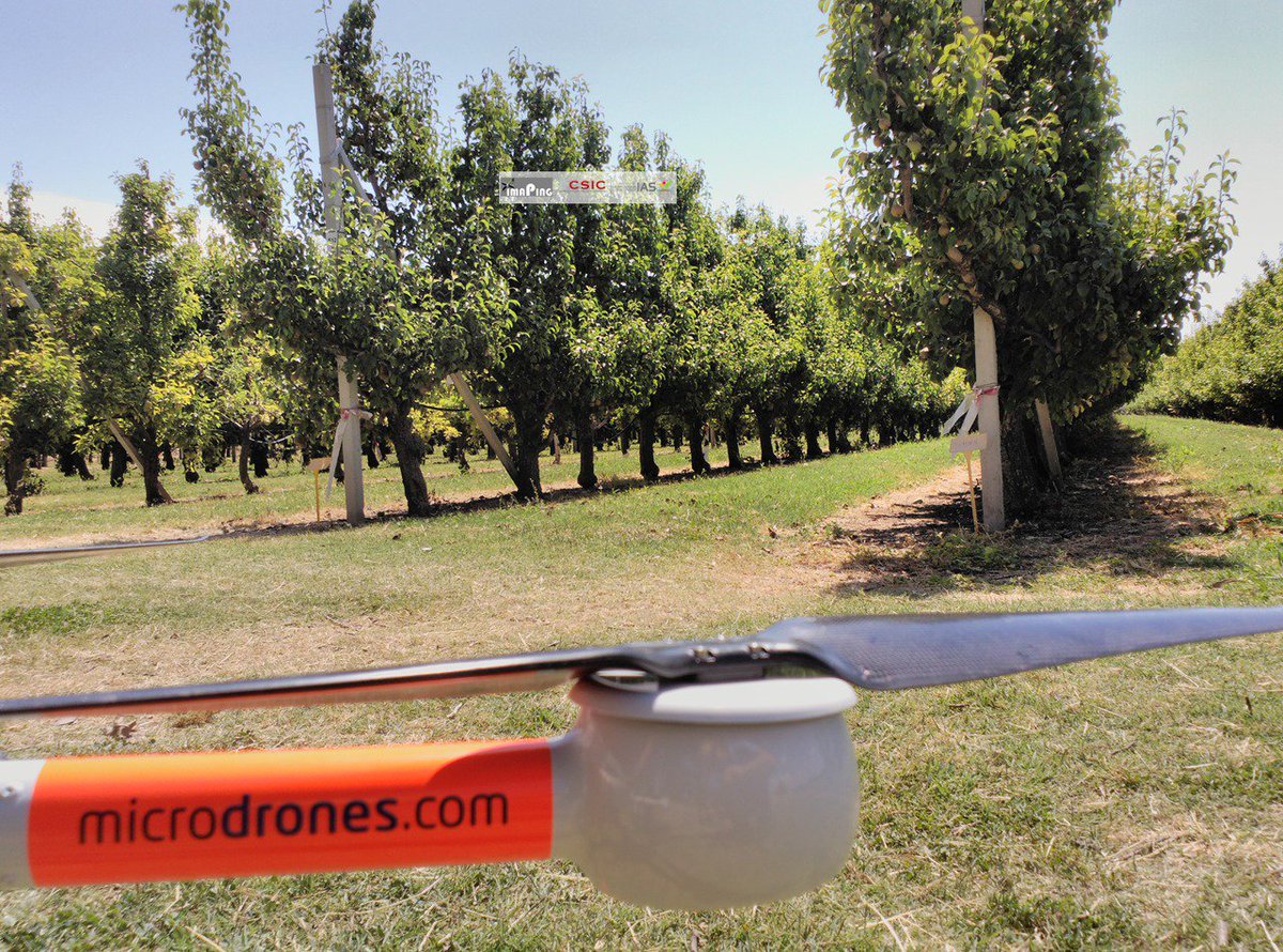 Grupo_Imaping's tweet photo. Teledetección aplicada a Agricultura de Precisión y Malherbología @Grupo_Imaping #UAV #PrecisionAg #FelizMartes https://t.co/qI98itZnJB