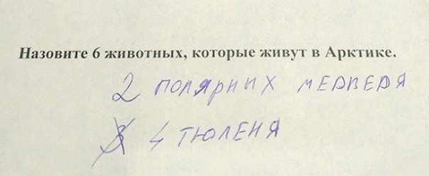 sinkevich90's tweet photo. Детские ответы, которые сегодня сделали моё утро добрым! #Улыбайся https://t.co/QORpdWv7KC