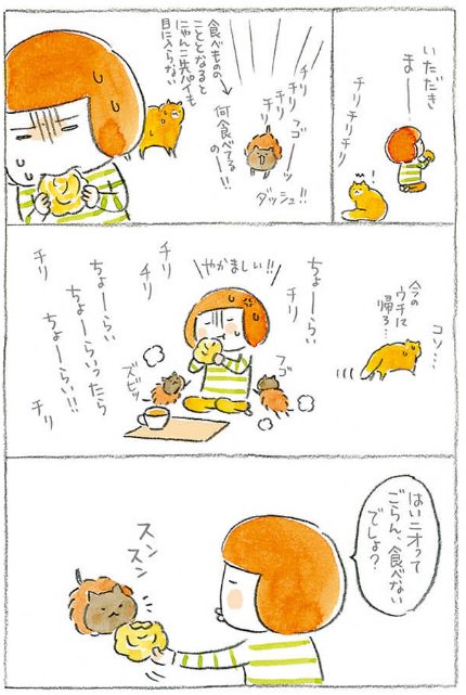 ねこねこ横丁編集部 Twitterissa Pixivコミック Comip にて まめねこ ねことじいちゃん で人気のねこまき先生 ちびネコどんぐり 第5話更新 食べ物への執着がすごいどんぐりさん大暴走 T Co Yztsk7kk3x Comip