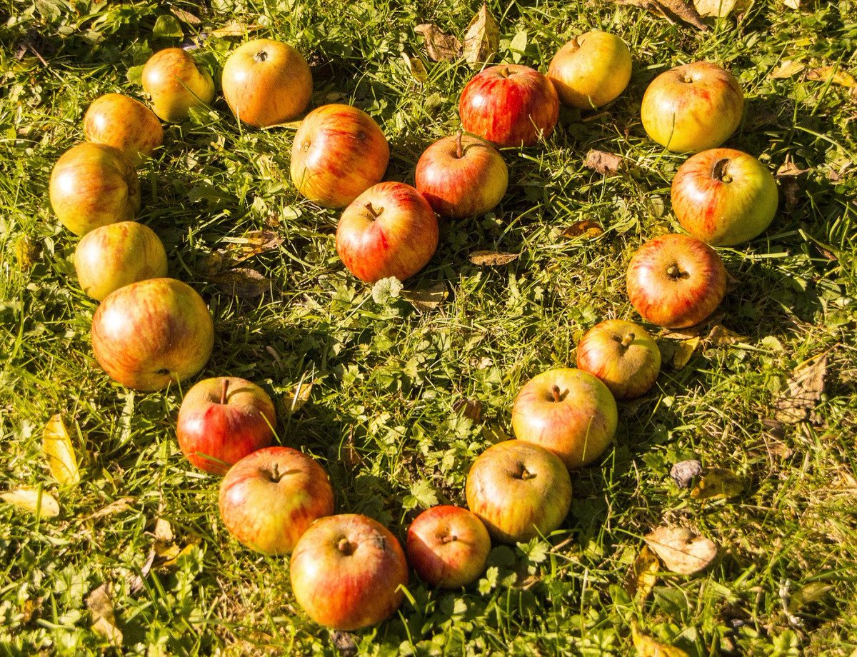 Ambronite's tweet photo. Read our simple guide to mindful eating @LukeJonesHERO https://t.co/uaTJ87Xn2j https://t.co/Ua2mC6LmOF
