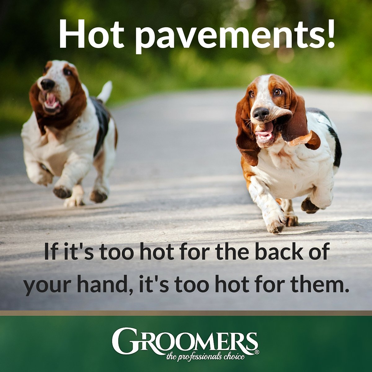 Bobbi's Dog Grooming (bobbissalon) Twitter