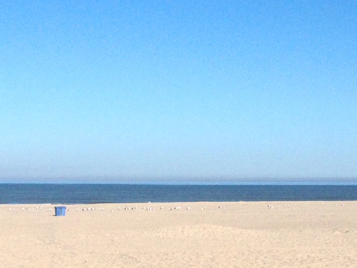 Oeh. Al bloedheet op het strand. Weinig wind, meeuwen rusten wat uit☀️#zomer #weer #hargen #hitte