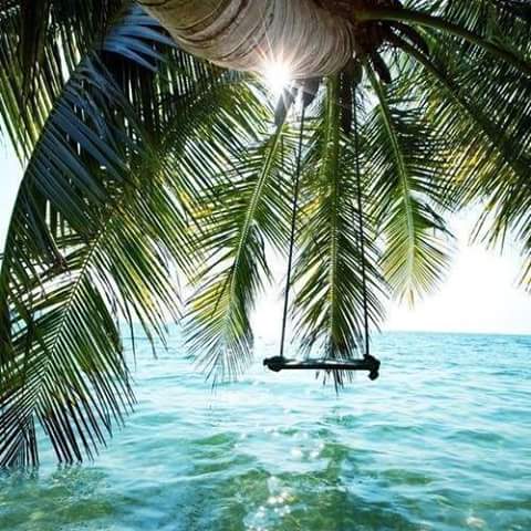 jalecagi's tweet photo. My very own swing...... #FijianStyle https://t.co/f3qjoyw93V