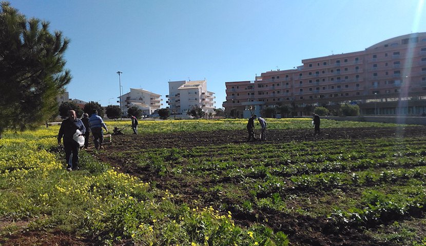 ModicaFlower's tweet image. Nasce il primo orto urbano e  #modica diventa sempre più #verde! #Sicilia #green #flowershow ow.ly/69y5302nEWT