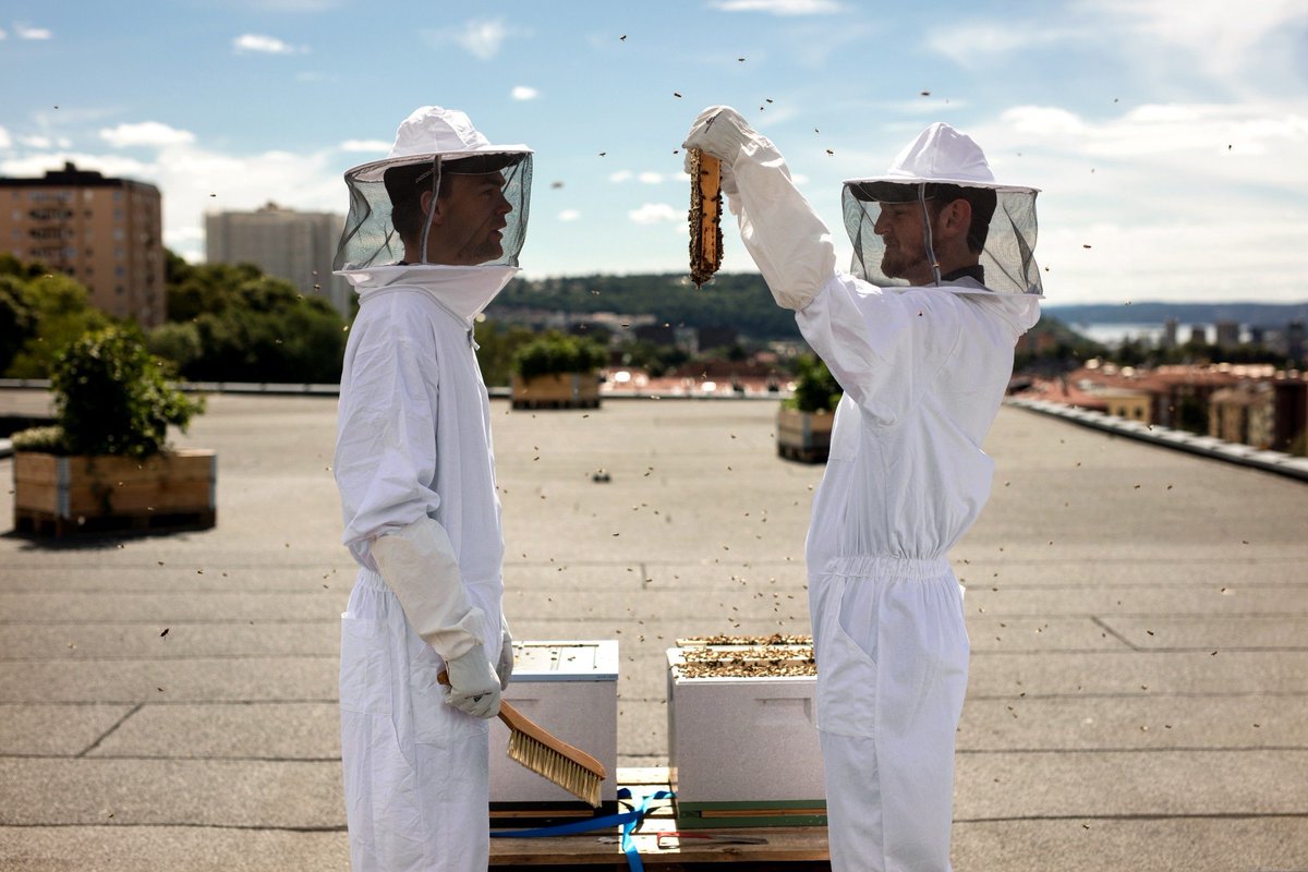 🐝 Exciting times! Read about how our team is growing by 120,000 this summer: bogb.co/gji0