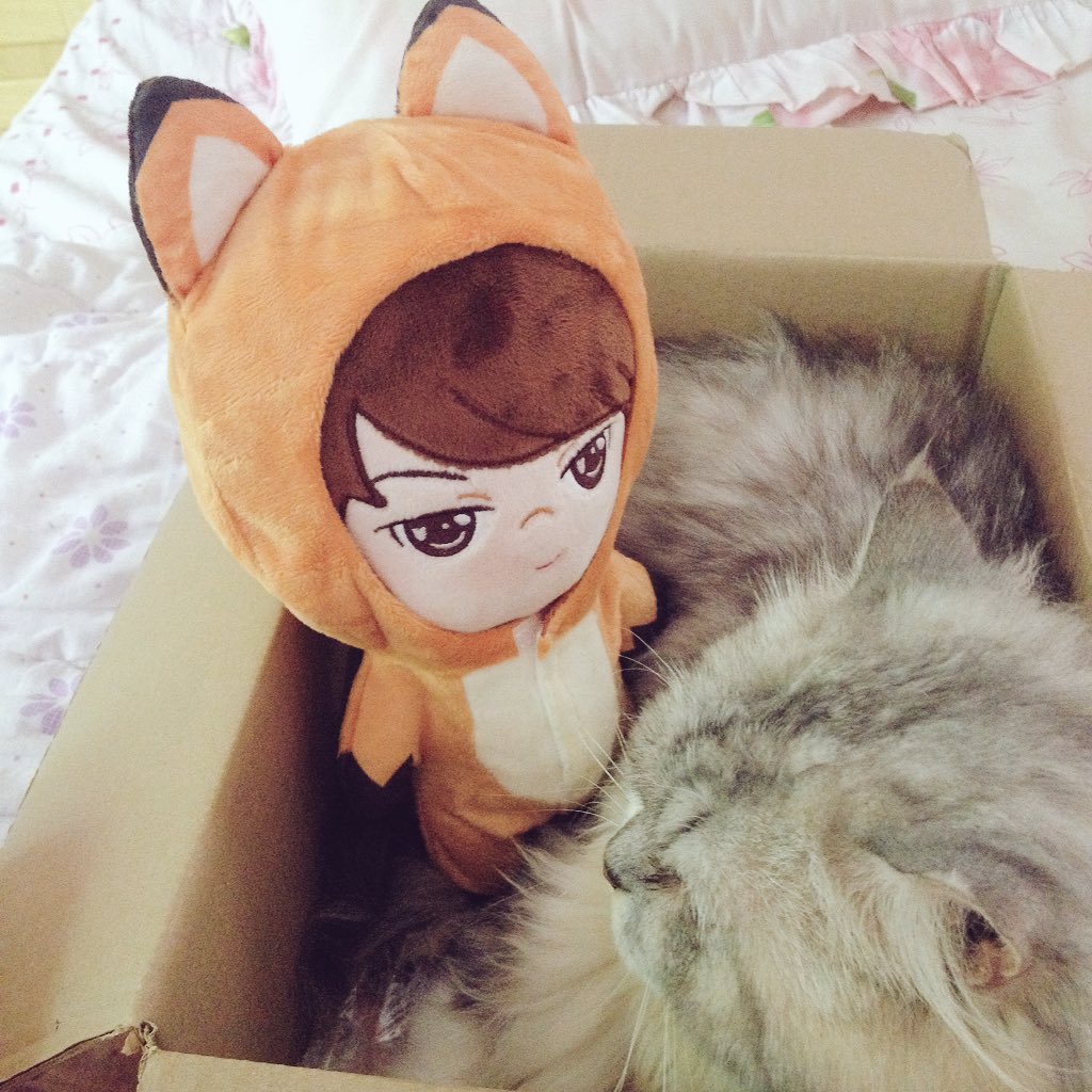 Snowwiwish's tweet photo. 'ทำไมตัวแย่งกล่องเลา'
'ถ้าไม่ออกจากกล่องเลาจะฟ้องฮุน'
'ออกไปเจ้าแมว ย๊าา!'
#Hanneydoll #Hunneydoll https://t.co/LTPyvjuyAG