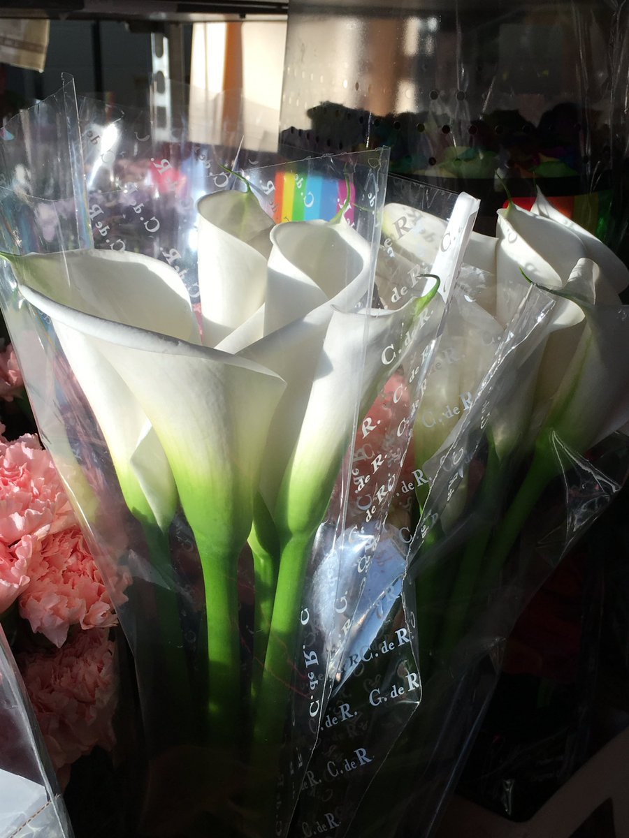 CScrutonFlowers's tweet photo. Sun's out and it's wedding season, our Calla lilies are looking great!
#Callalily #weddingseason #flowers #summer https://t.co/9n4ZID0mWk