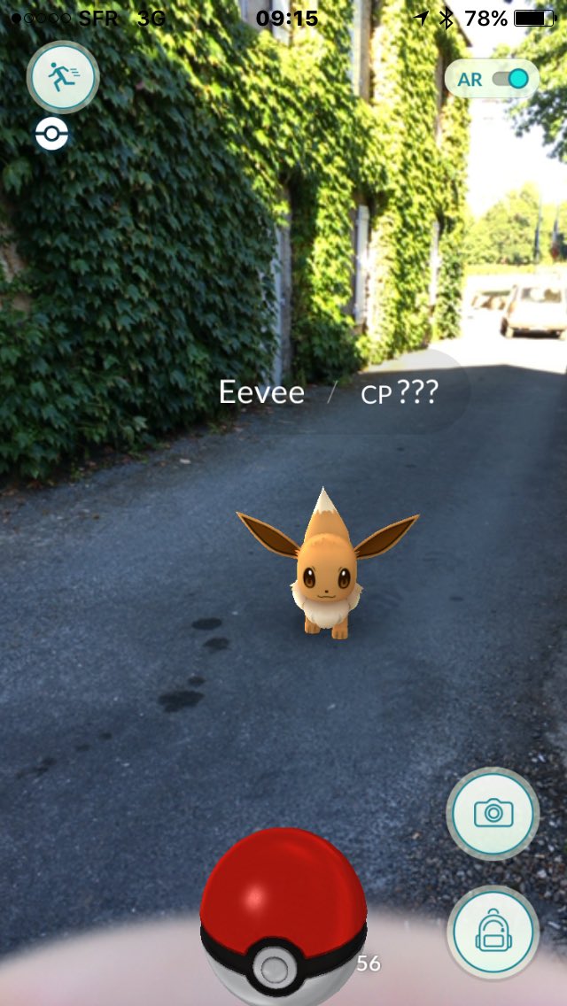 Two Pokestops and lots of Pokemon in Trémolat. Just caught this Eevie outside the @VieuxLogis