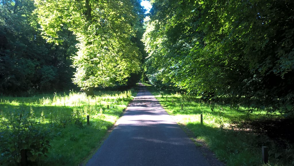 RT NT_andybeer: If ever there was a day for a bee-loud lime avenue...
