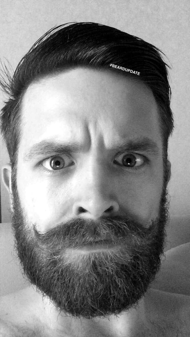 albatrossd's tweet image. #beardupdate