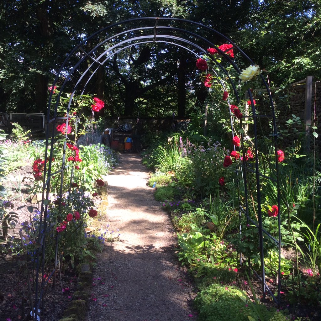 Turton TK Garden tweet media