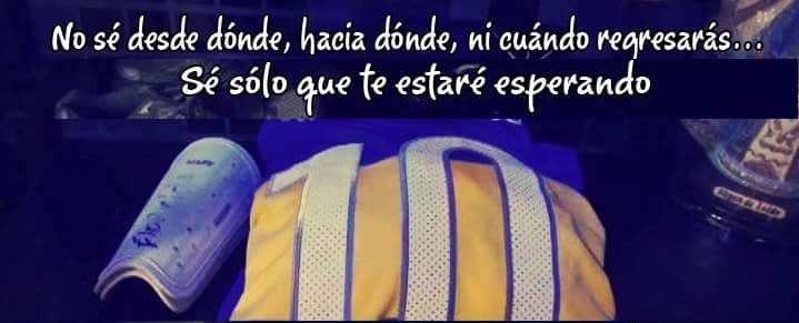 Diego Petersen (Bosteroman) tweet media