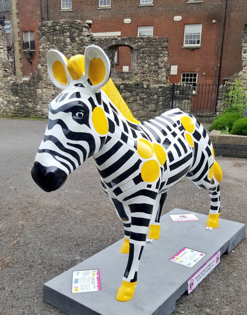 Zebra Crossings on a Zebra. #Genius #zanyzelfie #zanyzebra #Southampton #UK <a href="/ZanyZebras2016/">Marwell's ZanyZebras</a>