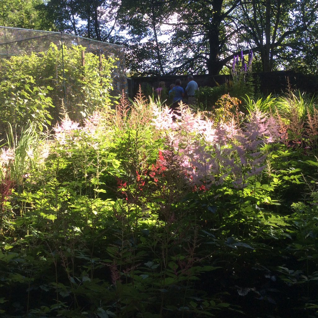 Turton TK Garden tweet media