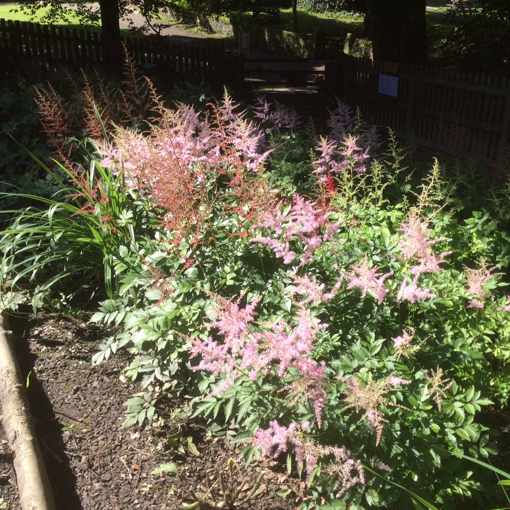 Turton TK Garden tweet media