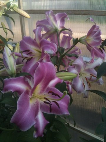 dkar2002's tweet image. 