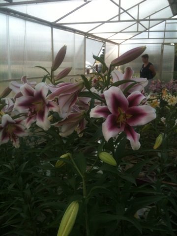 dkar2002's tweet image. 