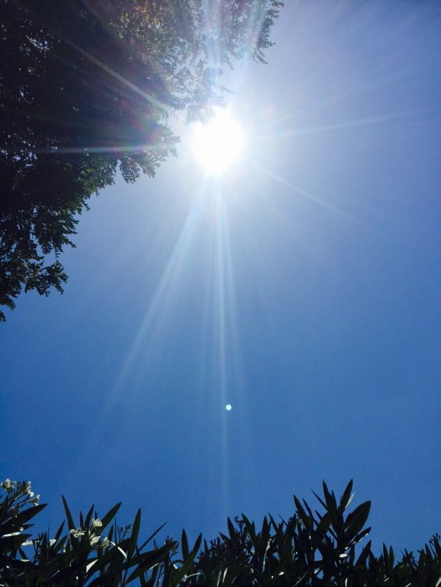CPeters12345's tweet photo. Wow, summer has finally arrived in London #summer #heatwave #sunshine https://t.co/9mR83eRacJ
